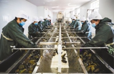 大連市 做強優勢農業產業，筑牢鄉村振興之基