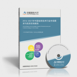 2016-2021年中國信息技術(shù)行業(yè)市場需求與投資咨詢報告 聚焦信息技術(shù)咨詢服務(wù)